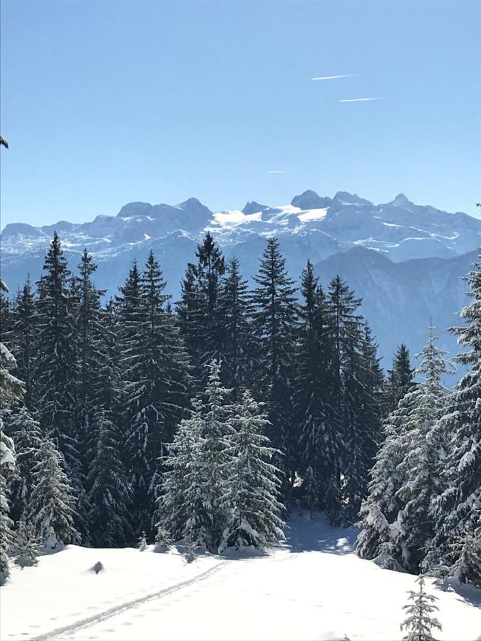Kaiserblick Goisern Bad Goisern am Hallstättersee Exterior foto